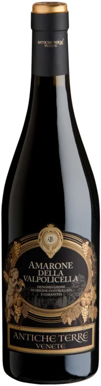 Antiche Terre Venete Amarone Della Valpolicella 2019