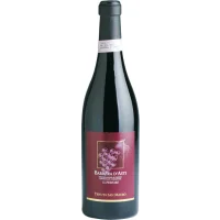 Barbera d'Asti Superiore 2013