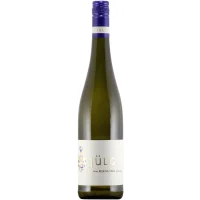 Weingut Jülg Pfalz Riesling Trocken 2020