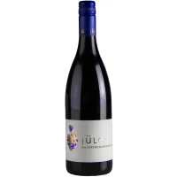 Weingut Jülg Spätburgunder 2019